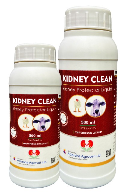 KIDNEY CLEAN