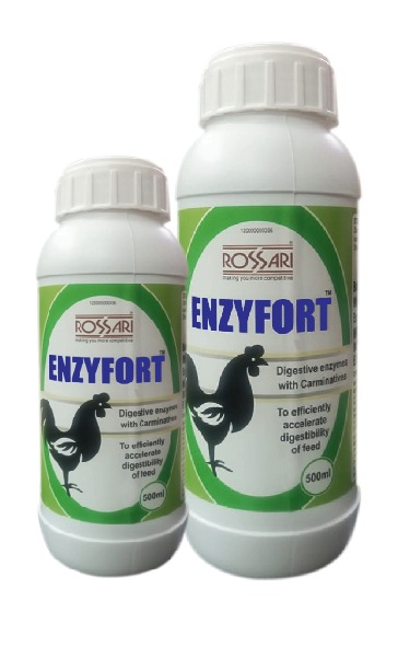 ENZYFORT