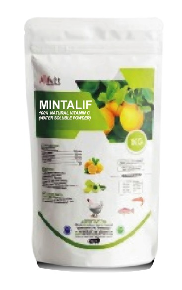 MINTALIF